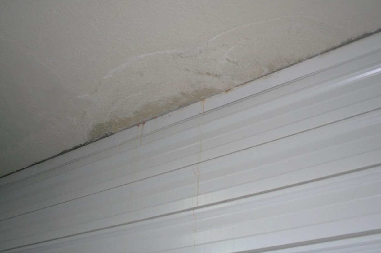 Sin-título-6_1228_817