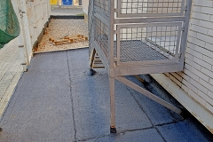 IMG20230202100151_2419_3225