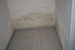 Sin-título-7_1226_818