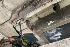 IMG_2971