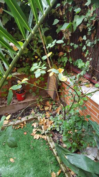 Adetecnia_reformas-20160108_151103_338x600