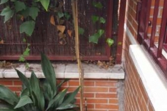 Adetecnia_reformas-20160108_151100_338x600