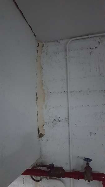 Adetecnia_trabajos_profesionales--20161110_175053_338x600