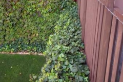 Adetecnia_trabajos_profesionales--20161110_175547_338x600