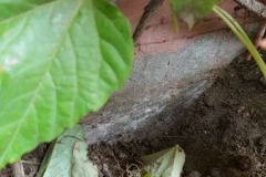 Adetecnia_trabajos_profesionales--20161125_120917 (1)_338x600