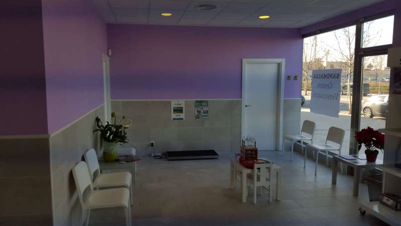 Adetecnia_reformas-Adetecnia_reformas-20160203_112132_3264x1836_800x450